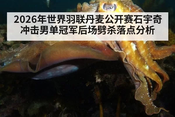 2026年世界羽联丹麦公开赛石宇奇冲击男单冠军后场劈杀落点分析